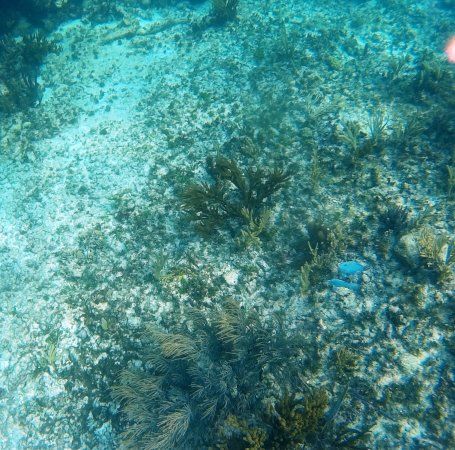 Cenote Yax Kin